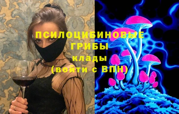 дурь Карталы