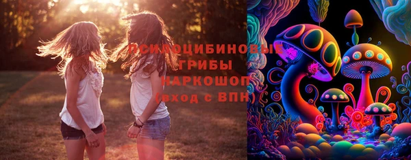 герыч Карпинск